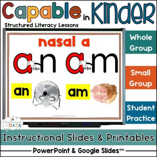 Nasal A AM AN Word Families Structured Literacy Phonics Lessons
